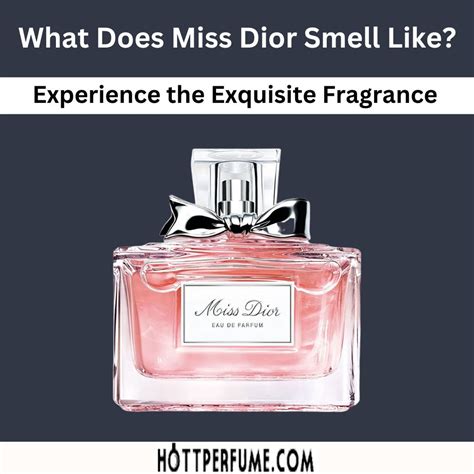 dior perfume long lasting|what does miss dior perfume smell like.